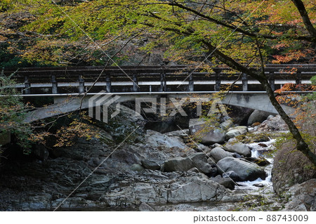 Mannenbashi in the Sliding Floor Natural Forest Park Mannenbashi in the Sliding Floor Natural Forest Park 88743009
