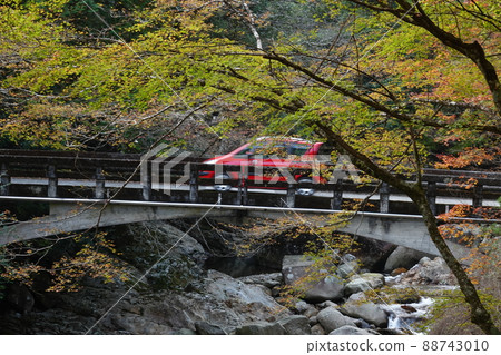 A car running on the Mannenbashi in the sliding floor natural forest park A car running on the Mannenbashi in the sliding floor natural forest park 88743010