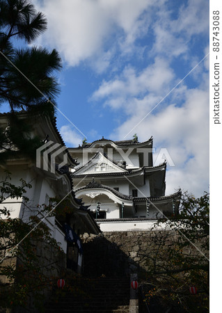 From Iga Ueno Castle 88743088