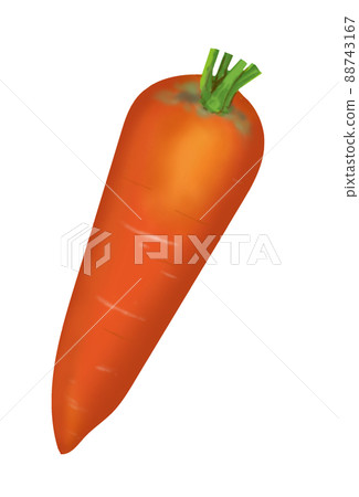 carrot carrot 88743167