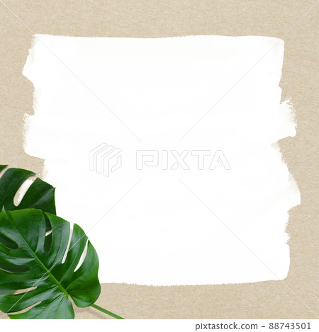 Tropical atmosphere background material 88743501