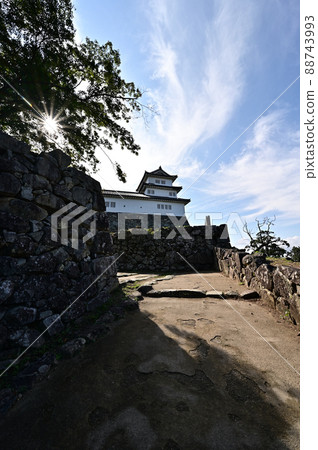 From Hikone Castle From Hikone Castle 88743993