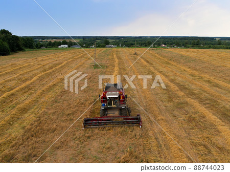 Combine harvester on harvesting oilseed rape in field. Aerial view of harvest season in wheat field. 88744023