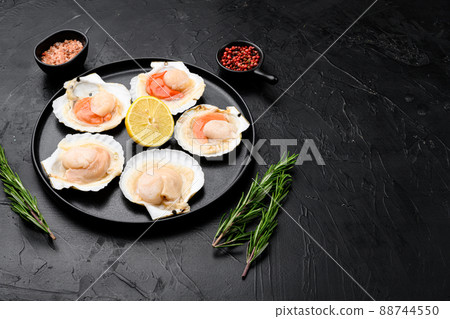 Seafood. Shellfish. Raw scallops with lemon, on black dark stone table background, with copy space for text Seafood. Shellfish. Raw scallops with lemon, on black dark stone table background, with copy space for text 88744550