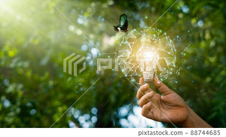 Hand holding light bulb against nature on green forest with butterfly.  energy sources for renewable, sustainable development. Earth day. Ecology and environment concept. 88744685