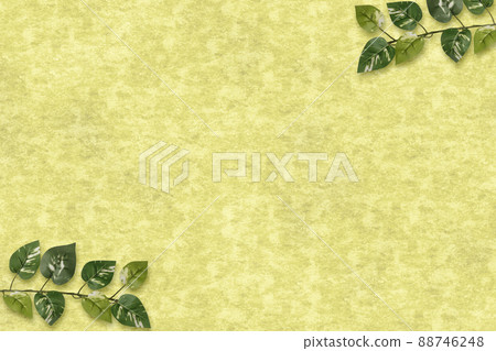 背景材料紙綠色 88746248