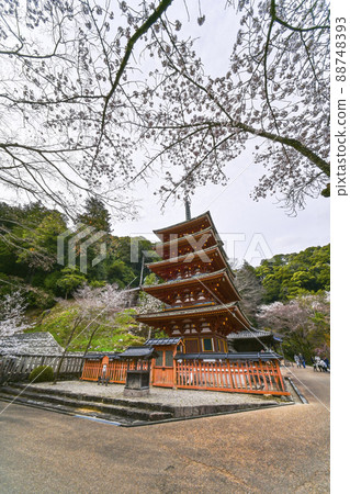 春長谷寺(奈良縣)五層寶塔 春長谷寺(奈良縣)五層寶塔 88748393