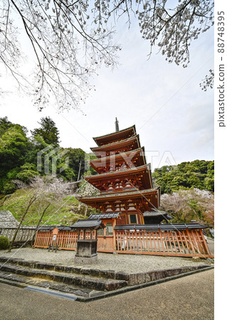 春長谷寺(奈良縣)五層寶塔 春長谷寺(奈良縣)五層寶塔 88748395