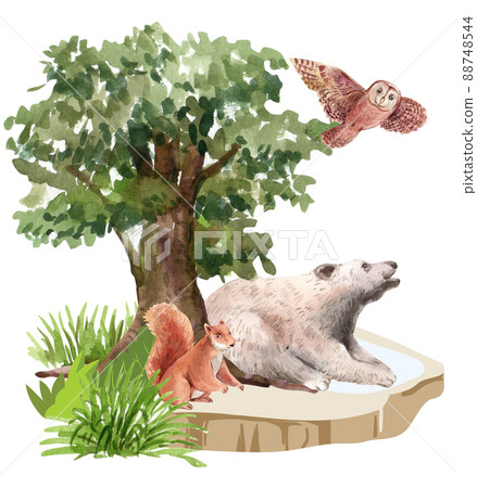 Biodiversity as natural wildlife species or fauna protection abstract concept. 88748544
