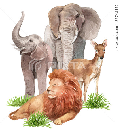 Biodiversity as natural wildlife species or fauna protection abstract concept. Biodiversity as natural wildlife species or fauna protection abstract concept. 88748552
