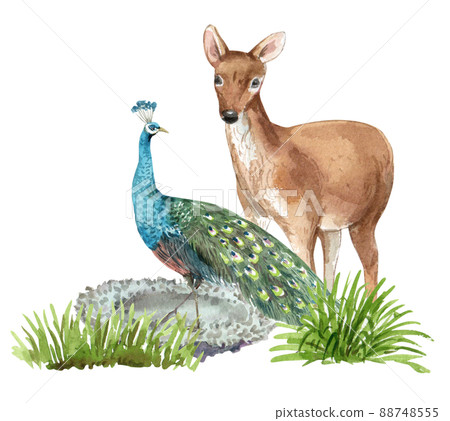 Biodiversity as natural wildlife species or fauna protection abstract concept. Biodiversity as natural wildlife species or fauna protection abstract concept. 88748555