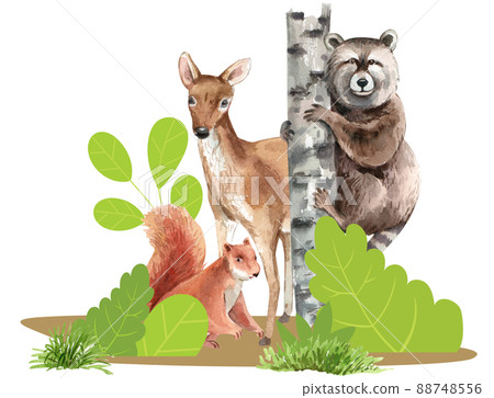 Biodiversity as natural wildlife species or fauna protection abstract concept. 88748556