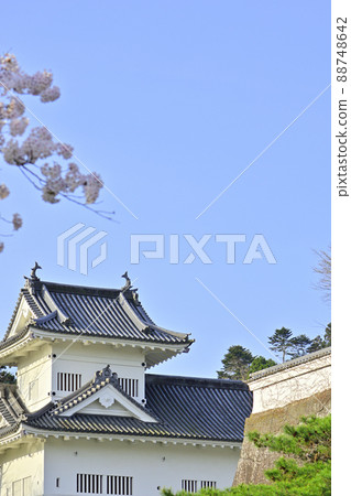 Aoba Castle corner turret in full bloom of spring cherry blossoms 88748642