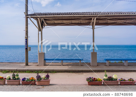 (Ehime Prefecture) JR Shimonada Station Spring 88748698
