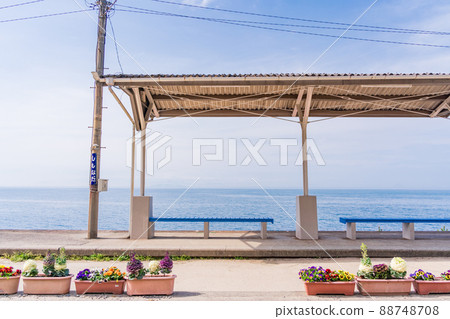 (Ehime Prefecture) JR Shimonada Station Spring (Ehime Prefecture) JR Shimonada Station Spring 88748708