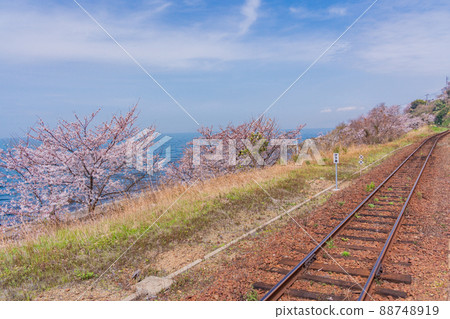 （愛媛縣）鐵路沿線的佐倉下灘站 88748919