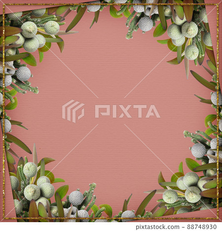 Square frame with flowers and leaves of Leucadendron and brunia on brown paper Square frame with flowers and leaves of Leucadendron and brunia on brown paper 88748930