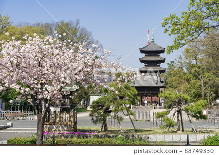 名古屋市昭和區八賀戶八賀山興勝寺和八重櫻 88749330