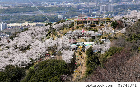 Sumaura Yamagami Amusement Park Sakura Sumaura Yamagami Amusement Park Sakura 88749371