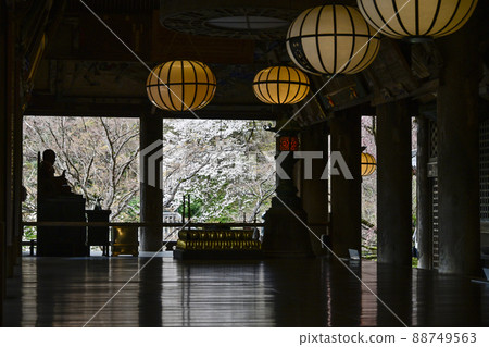 Spring Hase-dera (Nara Prefecture) Main Hall 88749563