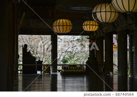 Spring Hase-dera (Nara Prefecture) Main Hall 88749564