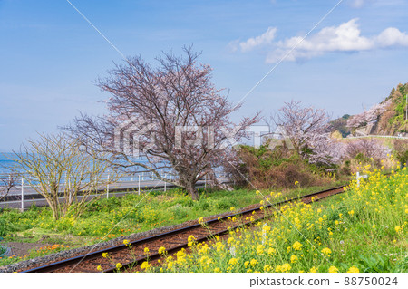 (愛媛縣)JR下灘站/附近鐵路道口 (愛媛縣)JR下灘站/附近鐵路道口 88750024