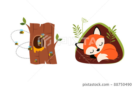 Bees flying around tree hollow and little fox sleeping in burrow cartoon vector illustration Bees flying around tree hollow and little fox sleeping in burrow cartoon vector illustration 88750490