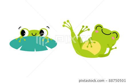 Cute little green baby frog swimming and lying set cartoon vector illustration 88750501