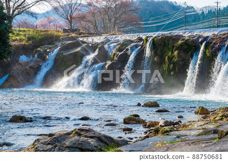 2022年4月拍攝的石川縣小松市布葉島十二瀧/西尾區 2022年4月拍攝的石川縣小松市布葉島十二瀧/西尾區 88750681