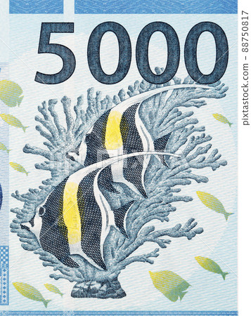 Coralfish from French Pacific Territories money Coralfish from French Pacific Territories money 88750817
