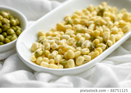 Organics fresh Baby Green Bean Sprouts in white ceramic bowl on a dark concrete background 88751125