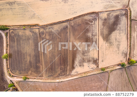 Top view of cultivated soil rice field plantation pattern with plowing for cultivation and flock of birds flying 88752279