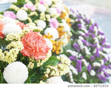 Flowers of many different colors are arranged in groups to look beautiful in different ceremonies. to refresh 88752819