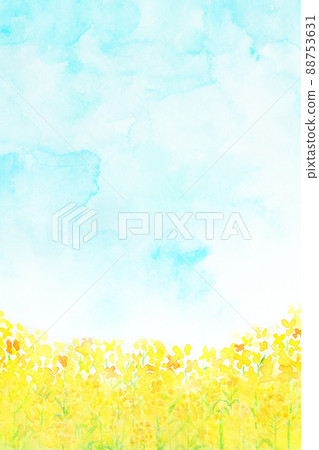 Rape field watercolor touch 88753631
