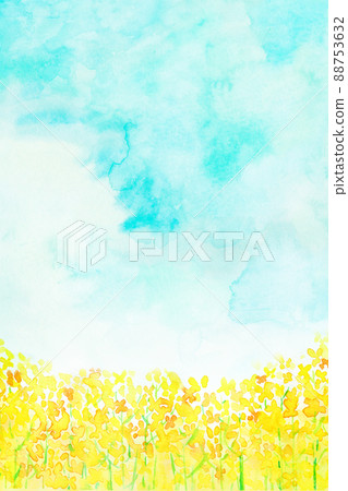 Rape field watercolor touch Rape field watercolor touch 88753632