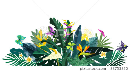 Tropical floral background, hand drawn cartoon art Tropical floral background, hand drawn cartoon art 88753850