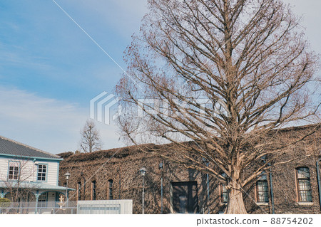 Kurashiki Ivy Square Metasequoia And Building Stock Photo 7542