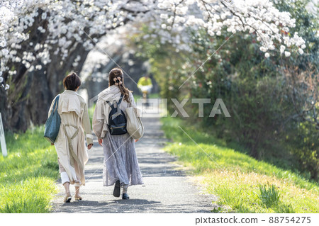 宮城縣小河原町白石川堤後的千本櫻瞳和女人 宮城縣小河原町白石川堤後的千本櫻瞳和女人 88754275