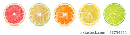 Citrus fruits slices in a row isolated on white background 88754331