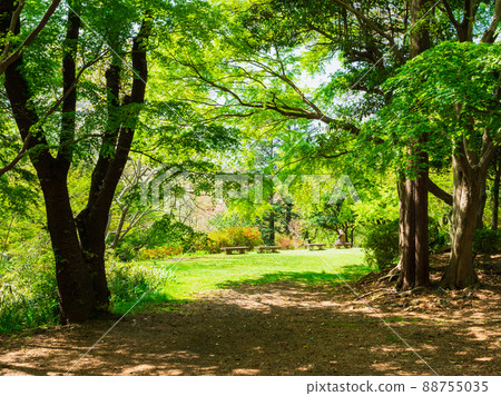 郊區住宅區,清新的綠色公園 郊區住宅區,清新的綠色公園 88755035