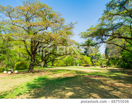 郊區住宅區,清新的綠色公園 郊區住宅區,清新的綠色公園 88755036