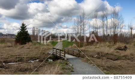 Scenic path in a park with green field and trees in a city. 88755409
