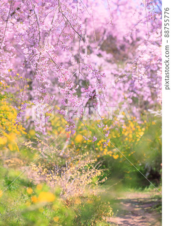 Secret flower garden Secret flower garden 88755776