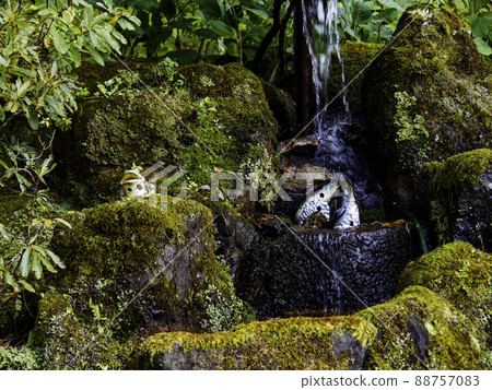 秋天的苔蘚 88757083