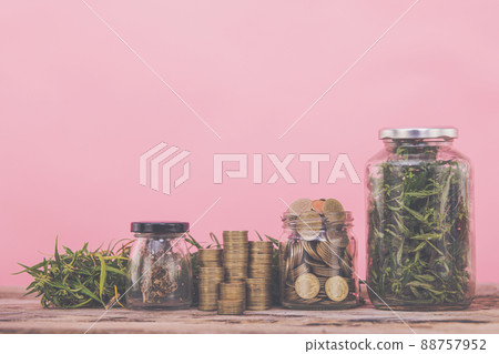 Cannabis business ideas, cannabis oil and cbd coins for medical purposes Cannabis business ideas, cannabis oil and cbd coins for medical purposes 88757952