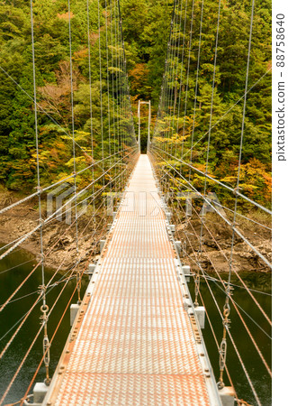 Scenery of the bridge over the Yoshino River and the autumn leaves Scenery of the bridge over the Yoshino River and the autumn leaves 88758640