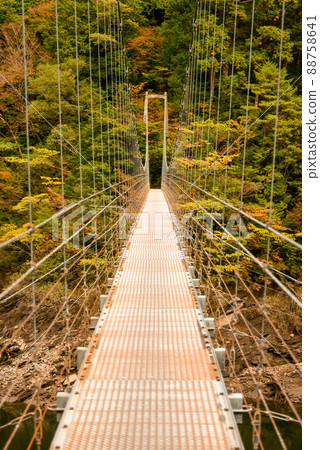 吉野川橋和紅葉的風景 吉野川橋和紅葉的風景 88758641