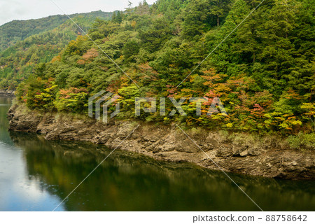 Scenery of the bridge over the Yoshino River and the autumn leaves 88758642