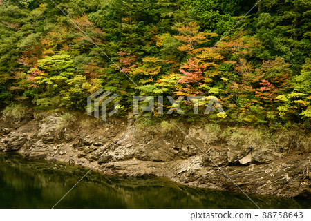 Scenery of the bridge over the Yoshino River and the autumn leaves Scenery of the bridge over the Yoshino River and the autumn leaves 88758643