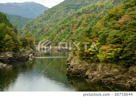 Scenery of the bridge over the Yoshino River and the autumn leaves Scenery of the bridge over the Yoshino River and the autumn leaves 88758644